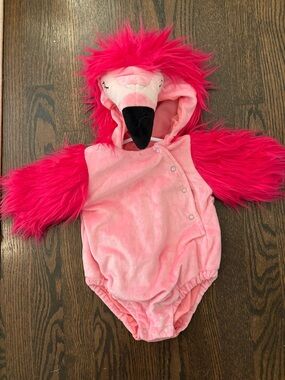 Pottery Barn Kids Pink Infant Hooded Romper